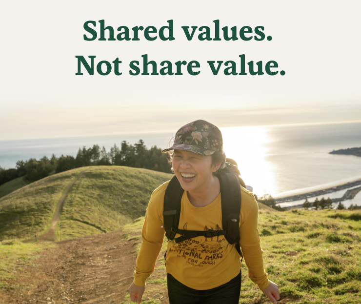 Shared values. Not share value.